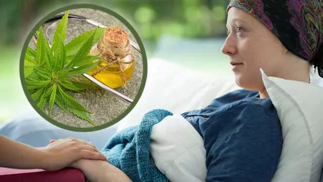 cannabis-cancer