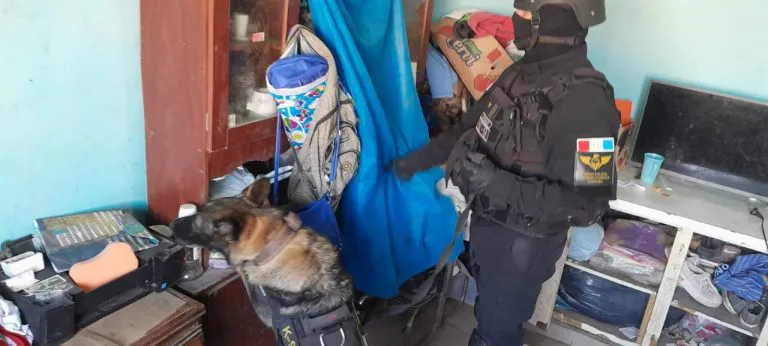 fpa perro