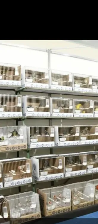 Screenshot_20250731-065851