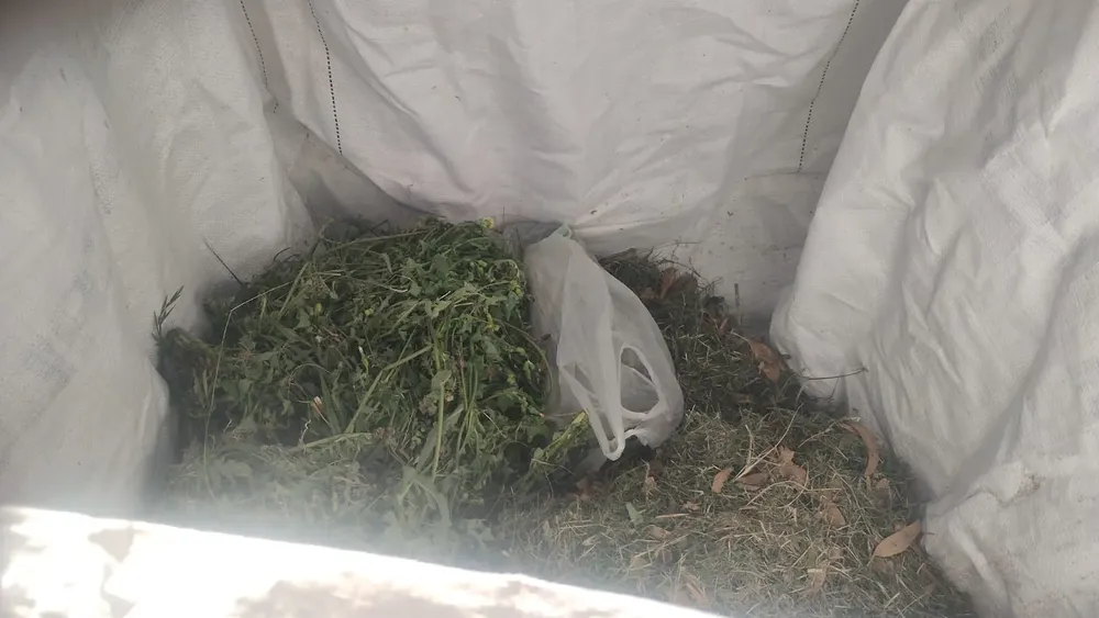 9c060f27-01cf-46bd-9c24-414c65108816