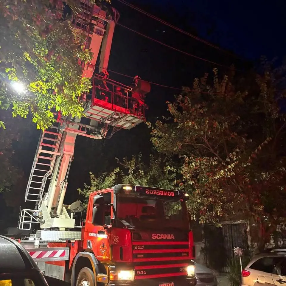 FB_IMG_1741316201481