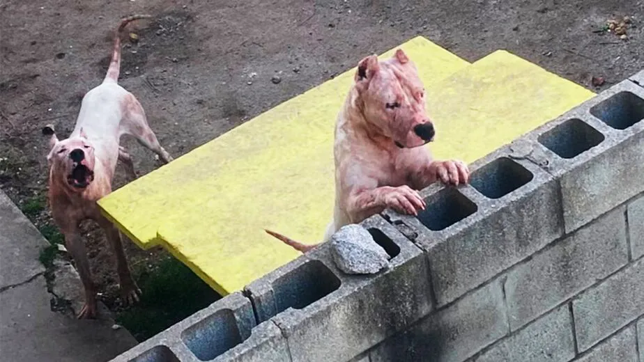 XBUAZ5KWHFG6JICJSIQIJYZIQ4