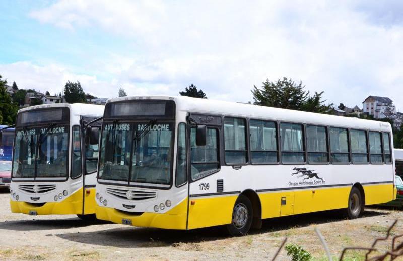 amrarillosssssssssssssss