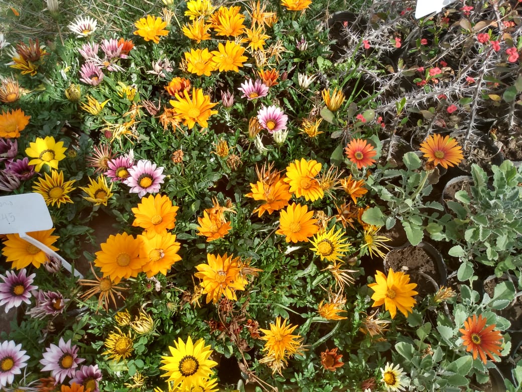 593f7199-4e82-46bc-9f9b-71dfe66723a6