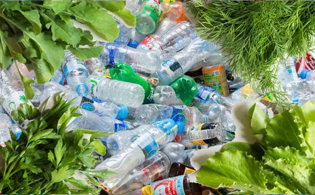 Verdura por botellas