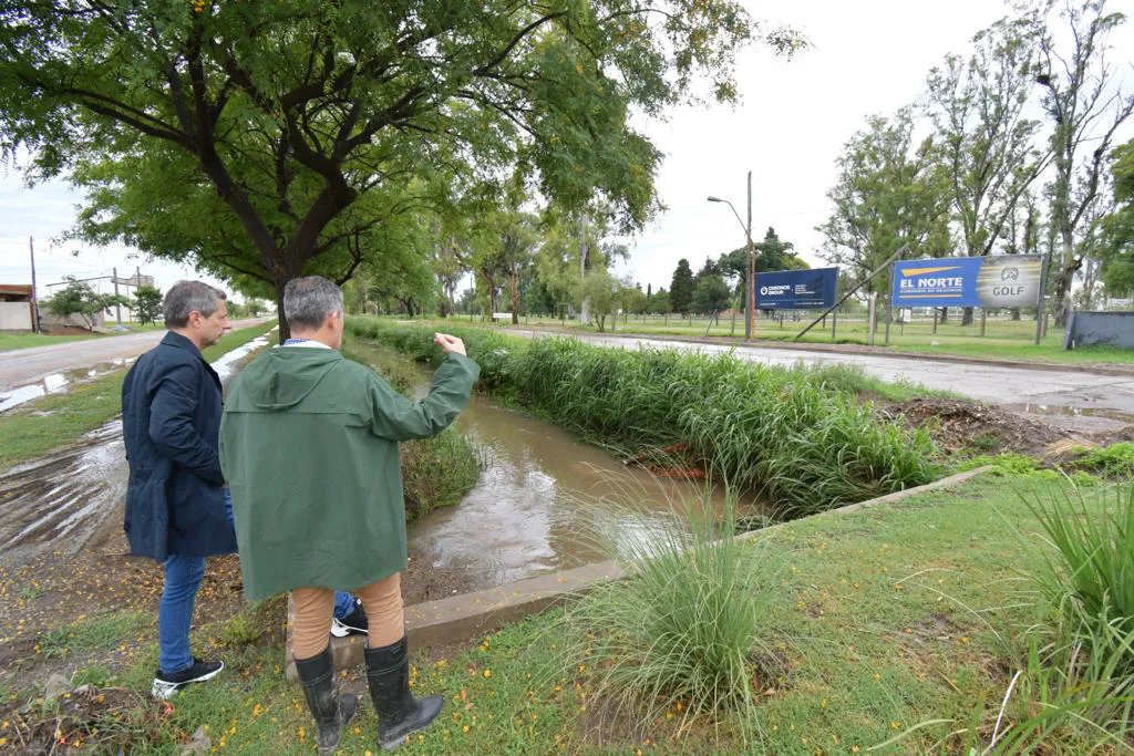 berenarte lluvia