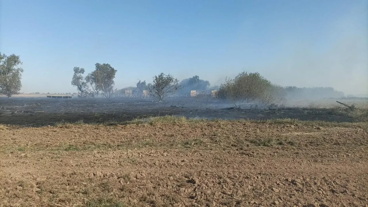 42b84a23-9094-47c1-99da-83a0951261da