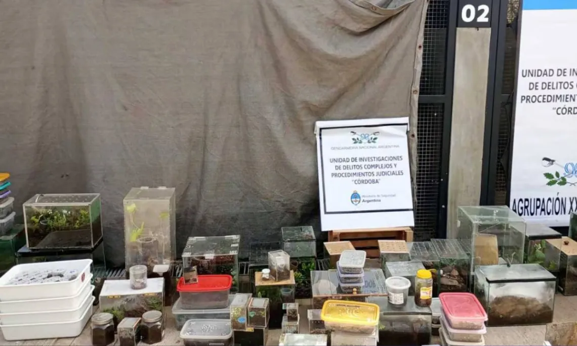 Portada-web-3-2-1140x684