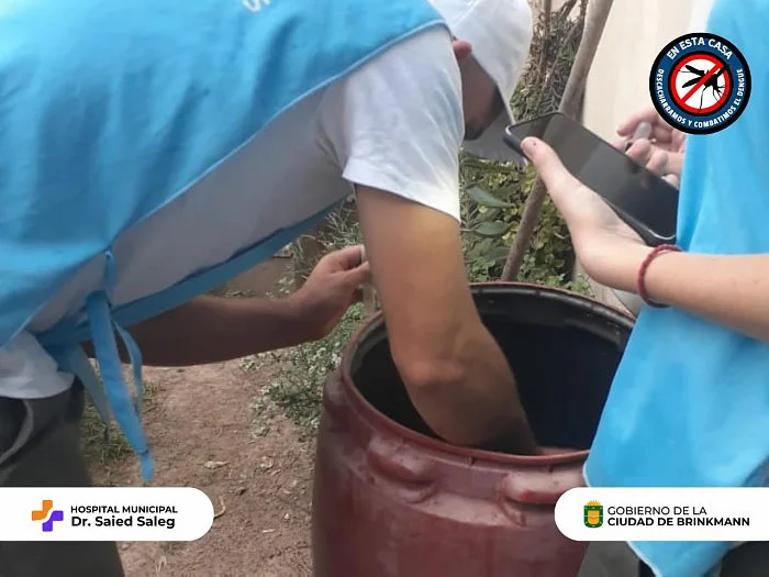 28746-brinkmann-dengue