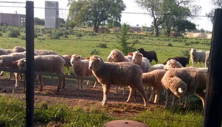 179758983_2164459313693645_1694163420538078191_n