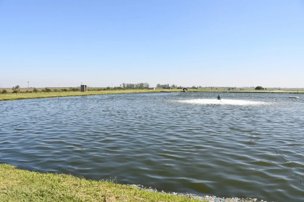 ea224eea-b9fa-47c0-aa51-a7fb161603b7