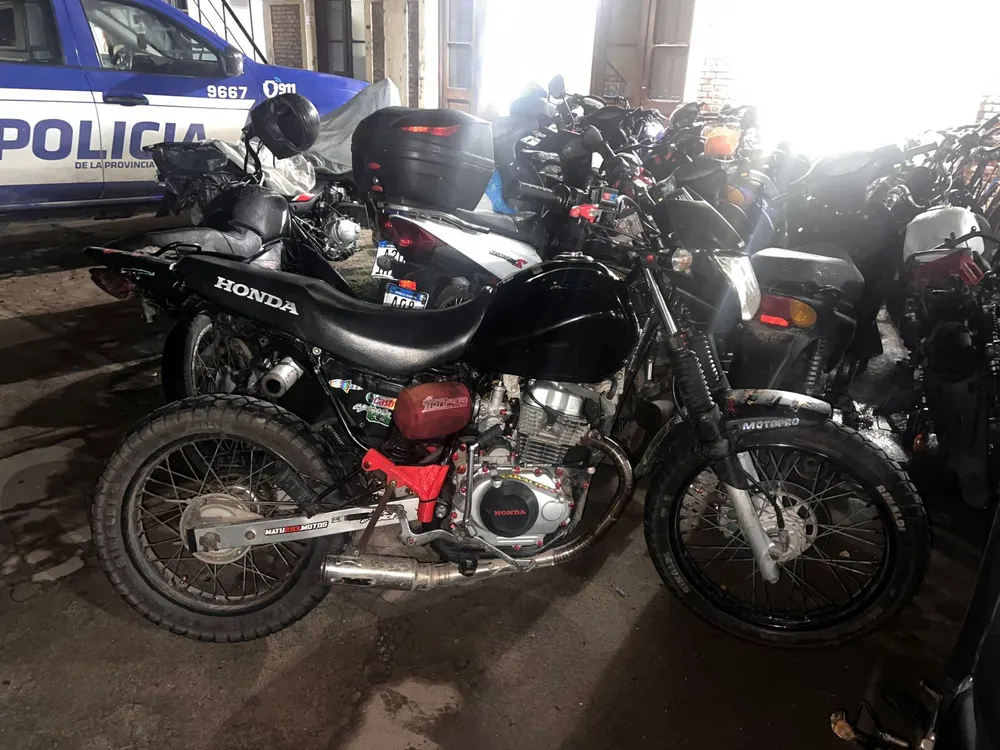 WhatsApp Image 2026-02-17 at 12.32.22